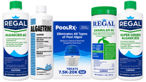 Types of Pool Algae: Green, Mustard (Yellow), & Black